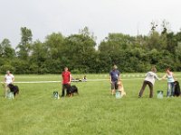 IMG 6071