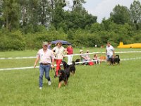 IMG 6076