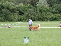 IMG 6082