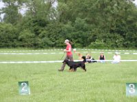 IMG 6089
