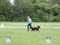 IMG 6090
