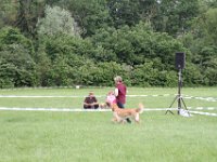 IMG 6092