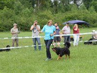 IMG 6093