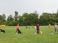 IMG 6096