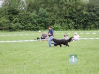 IMG 6136