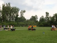 IMG 6216