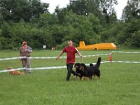 IMG 6245