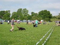 DSC 6187