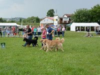 DSC 7069
