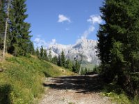IMG 9845