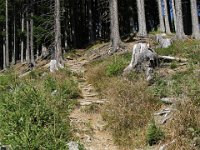 IMG 9849