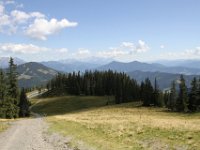 IMG 9862