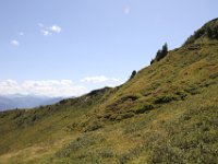 IMG 9867