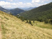 IMG 9894