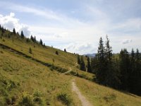 IMG 9899