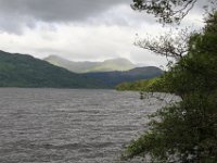 IMG 0334