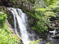 IMG 0375
