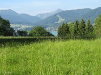 IMG 0331
