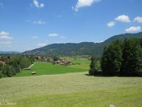 IMG 0360