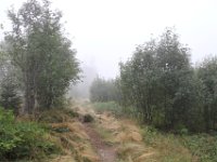 IMG 9559