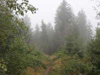 IMG 9560