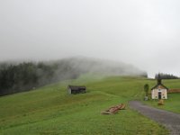 IMG 9565