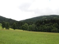 IMG 9571