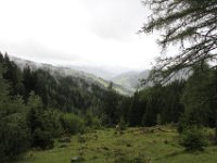 IMG 9576