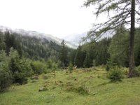 IMG 9579