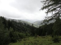 IMG 9583
