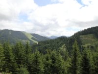 IMG 9585