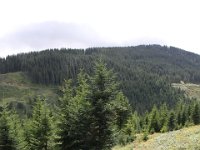 IMG 9587