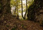 IMG 0002
