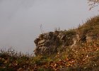 IMG 0006