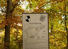 IMG 0013