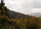 IMG 0015