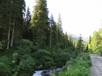 IMG 0567