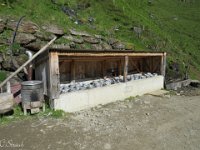 IMG 0571
