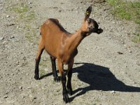 IMG 0583