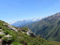 IMG 0687