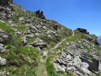 IMG 0694