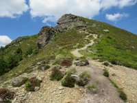 IMG 0720