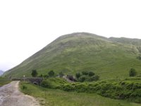 IMG 0654