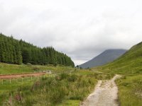 IMG 0655