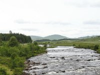 IMG 0699