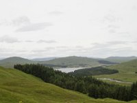 IMG 0718