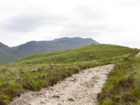 IMG 0736