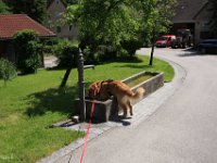 IMG 8394