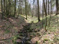IMG 0217
