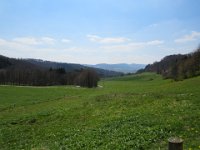 IMG 0225